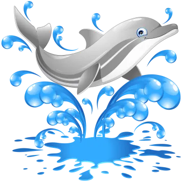 a dolphin jumping out of the water