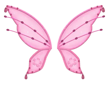 a pink butterfly wings