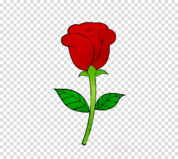 a red rose with green leaves on the stem