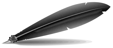 a black feather on a white background