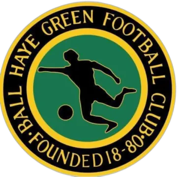 the green football club logo