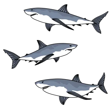 a set of three shark illustrations