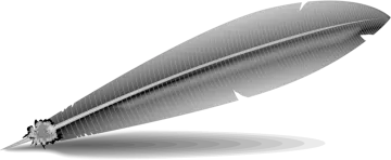 a black and white feather on a white background