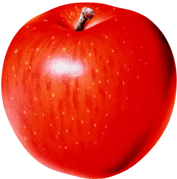 a red apple on a white background