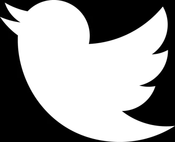 a white twitter logo
