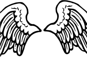 a pair of angel wings