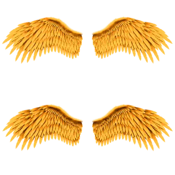 two golden wings on a white background
