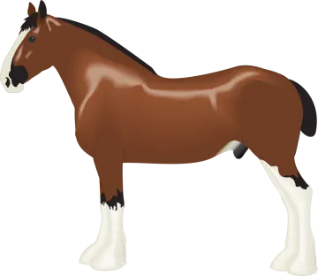 a brown horse standing on a white background