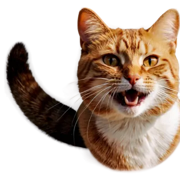 a close up of a cat with its mouth open