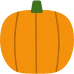 a pumpkin on a white background