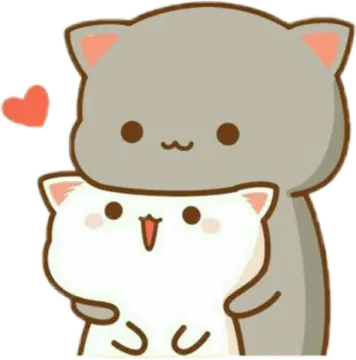 a couple of cats hugging each other cats