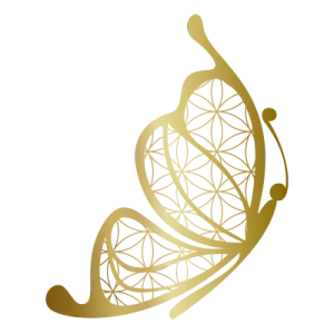 a gold butterfly on a white background