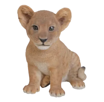 a small lion cub sitting on a white background