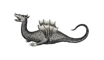 a black and white drawing of a dragon