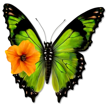 a green butterfly with orange flowers on its wings