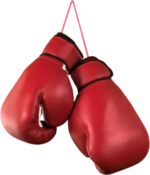 a pair of red boxing gloves hanging on a rope