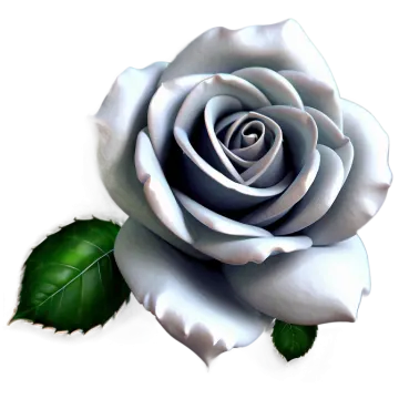 a white rose with green leaves on it