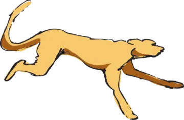 a dog running on a white background