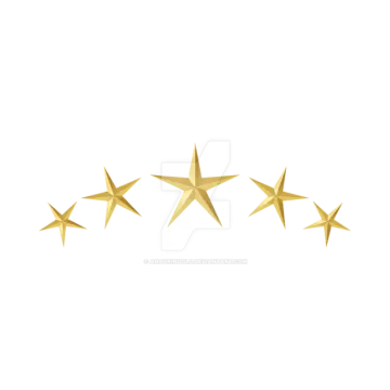 five gold stars on white background