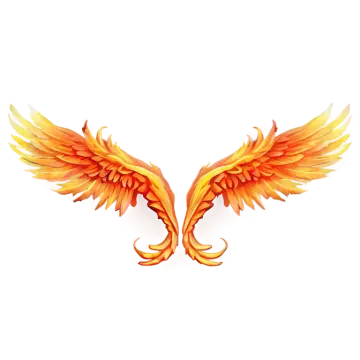 a pair of orange wings on a white background