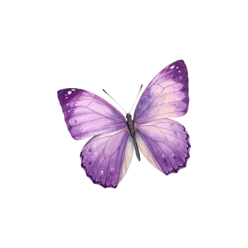 a purple butterfly on a white background