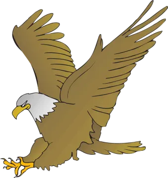 an eagle flying with its wings spread