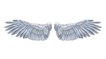 two white wings on a white background