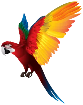 a colorful parrot flying in the air