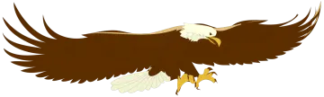 an eagle flying with its wings spread