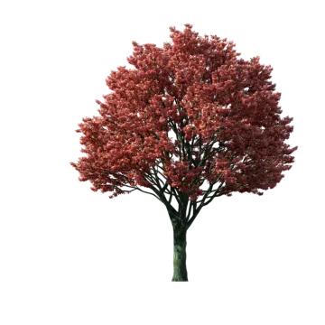 a red tree on a white background