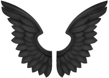 a pair of wings on a white background