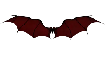 a red bat on a white background