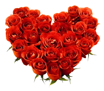 red roses in the shape of a heart