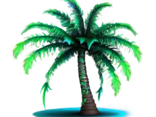 a palm tree on a white background