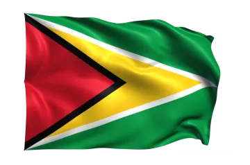 the flag of guyana