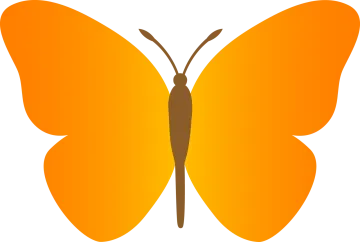 an orange butterfly on a white background