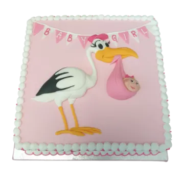 a pink cake with a white and black bird on it