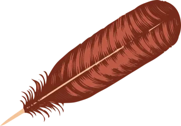 a brown feather on a white background