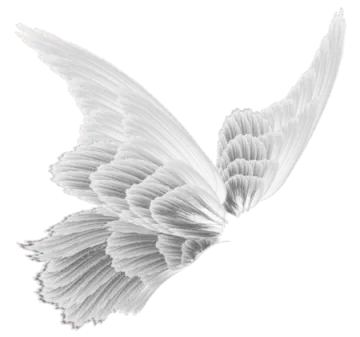a black and white drawing of a bird