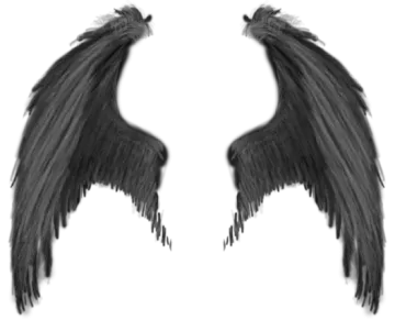 two black wings on a white background