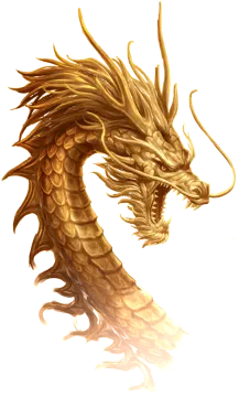 a golden dragon on a white background