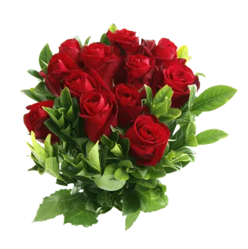 a bouquet of red roses on a white background