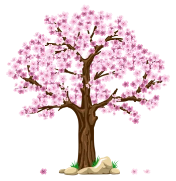 a cherry tree with pink flowers