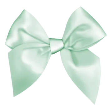 a light green bow on a white background