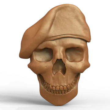 a skull with a hat on top of it