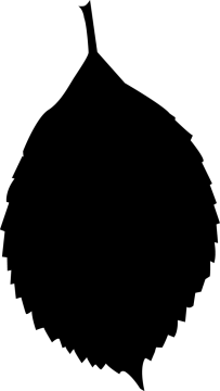 a black and white silhouette of a leaf