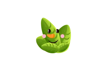 a green leaf with a smiling face