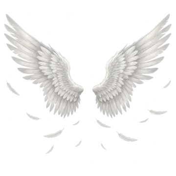 two white wings on a white background