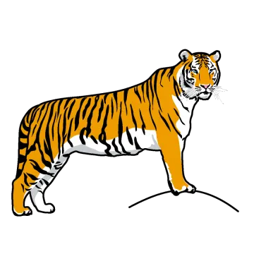 a tiger standing on top of a rock