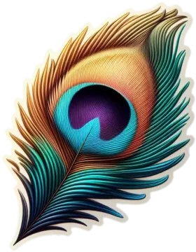 a peacock feather on a white background